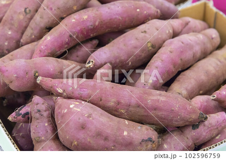 さつまいも 102596759