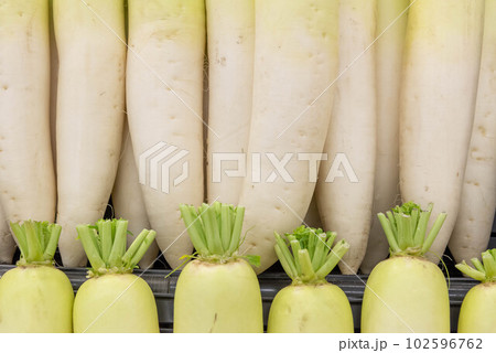 大根 大根 102596762