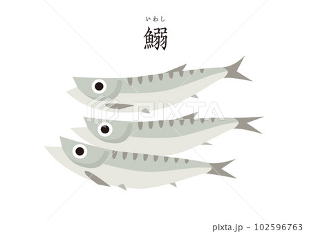 グッドフード 和の食材 シンプルなイワシ 鰯 グッドフード 和の食材 シンプルなイワシ 鰯 102596763