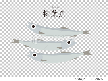 Good Food Japanese Ingredients Simple Shishamo Yanagiba Fish 102596978
