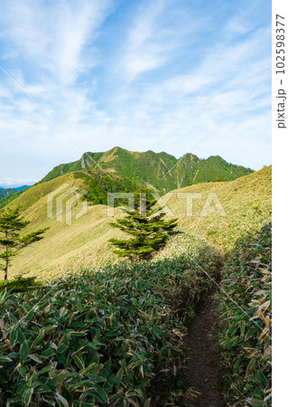 春の伊予富士・寒風山・笹ヶ峰登山(桑瀬峠~伊予富士) 春の伊予富士・寒風山・笹ヶ峰登山(桑瀬峠~伊予富士) 102598377