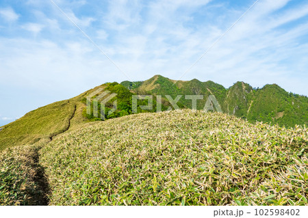 春の伊予富士・寒風山・笹ヶ峰登山(桑瀬峠~伊予富士) 春の伊予富士・寒風山・笹ヶ峰登山(桑瀬峠~伊予富士) 102598402