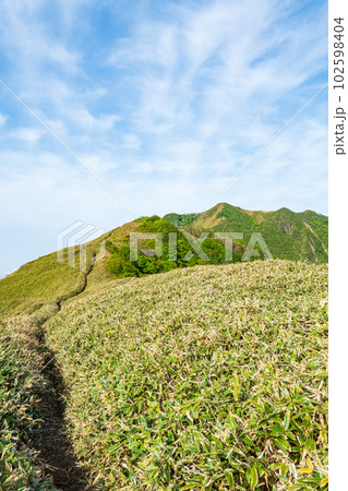 春の伊予富士・寒風山・笹ヶ峰登山（桑瀬峠～伊予富士） 102598404
