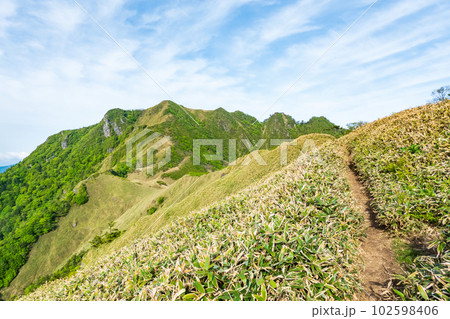 春の伊予富士・寒風山・笹ヶ峰登山(桑瀬峠~伊予富士) 春の伊予富士・寒風山・笹ヶ峰登山(桑瀬峠~伊予富士) 102598406