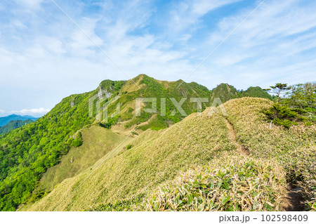 春の伊予富士・寒風山・笹ヶ峰登山（桑瀬峠～伊予富士） 102598409