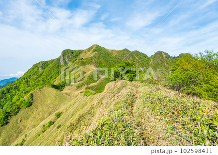 春の伊予富士・寒風山・笹ヶ峰登山(桑瀬峠~伊予富士) 春の伊予富士・寒風山・笹ヶ峰登山(桑瀬峠~伊予富士) 102598411
