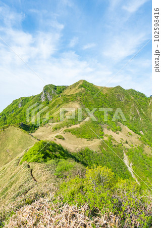 春の伊予富士・寒風山・笹ヶ峰登山(桑瀬峠~伊予富士) 春の伊予富士・寒風山・笹ヶ峰登山(桑瀬峠~伊予富士) 102598416