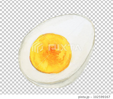 Hand drawn watercolor delicious boiled egg illustration Hand drawn watercolor delicious boiled egg illustration 102599167