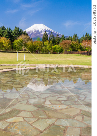 (山梨県)富士山レーダードーム公園の池に映る逆さ富士 (山梨県)富士山レーダードーム公園の池に映る逆さ富士 102599553