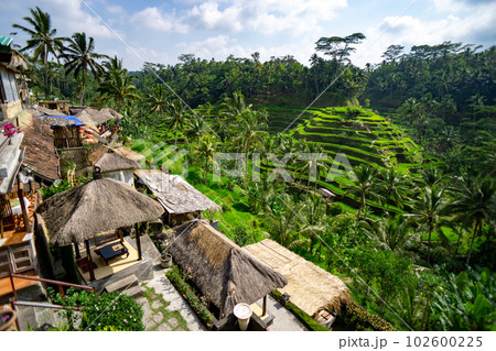 テガラランのライステラス(棚田)と飲食店の大絶景 102600225