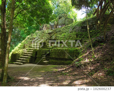 世界遺産 グアテマラ共和国 ティカル国立公園 遺跡6 世界遺産 グアテマラ共和国 ティカル国立公園 遺跡6 102600237