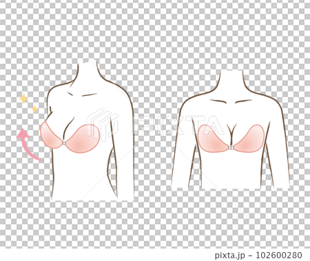 ヌーブラを着用している体のイラスト ヌーブラを着用している体のイラスト 102600280