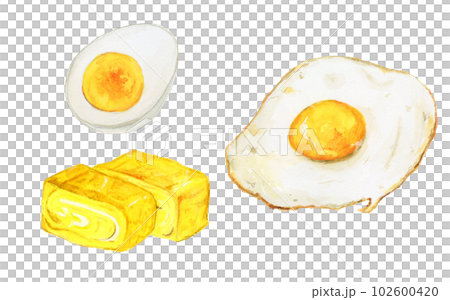 手描き水彩の美味しそうな簡単な卵料理のイラストセット 102600420