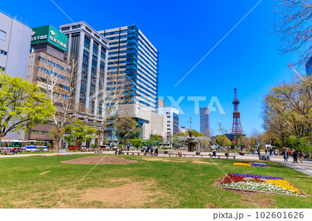 北海道　札幌市　ゴールデンウィークで賑わう大通公園 102601626