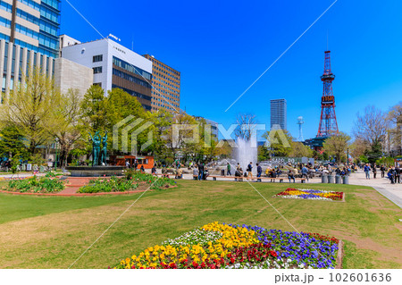 北海道　札幌市　ゴールデンウィークで賑わう大通公園 102601636