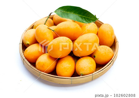 Marian plum fruit isolated on white background 102602808