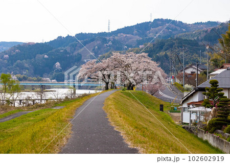 EOSR6.島根雲南、屋台は大変な河川敷。 EOSR6.島根雲南、屋台は大変な河川敷。 102602919