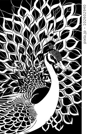 white stylized contour drawing of a peacock onのイラスト素材