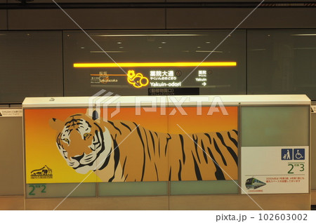 福岡地下鉄 薬院大通駅 ホーム 福岡地下鉄 薬院大通駅 ホーム 102603002