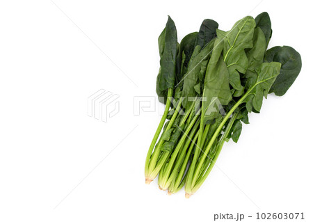 Fresh spinach on white background Fresh spinach on white background 102603071