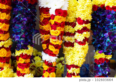 Fllower garland shop near Batu Caves Temple, Malaysia Fllower garland shop near Batu Caves Temple, Malaysia 102603664