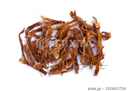 Dried red cotton tree flower Dried red cotton tree flower 102603726