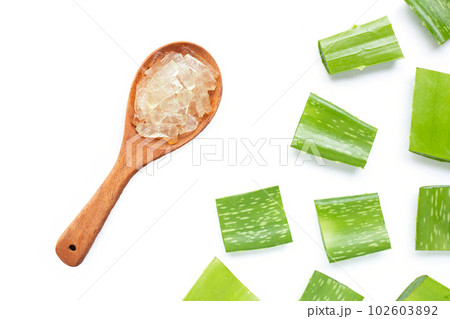 Aloe vera is a popular medicinal plant for health and beauty, on a white. Aloe vera is a popular medicinal plant for health and beauty, on a white. 102603892
