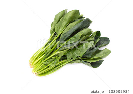 Fresh spinach on white background 102603984