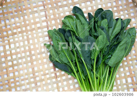 Fresh spinach in bamboo weaves plate Fresh spinach in bamboo weaves plate 102603986