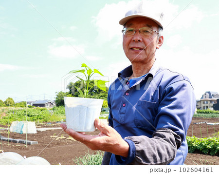 家庭菜園　シニア男性 102604161