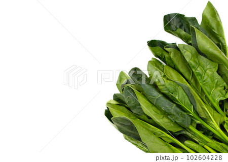 Fresh spinach on white background 102604228