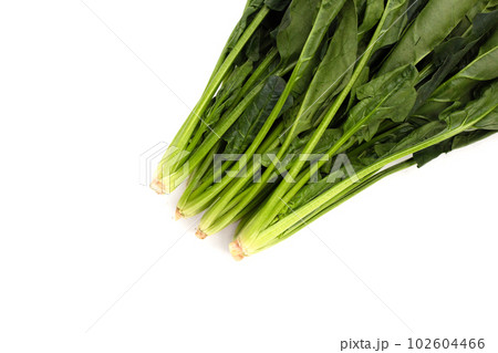 Fresh spinach on white background Fresh spinach on white background 102604466