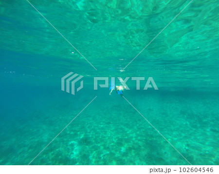 Underwater view of a woman snorkeling in the tropical sea 102604546
