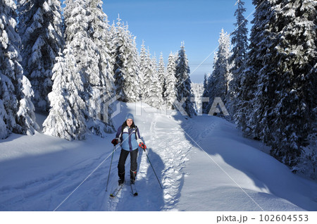 Backcountry skier touring in beautiful winter mountains Backcountry skier touring in beautiful winter mountains 102604553