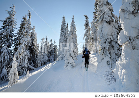 Backcountry skier enjoying winter first snow Backcountry skier enjoying winter first snow 102604555