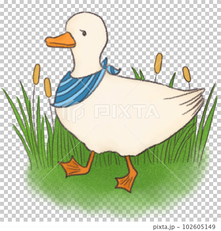 Duck Duck 102605149