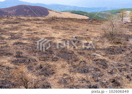 【災害イメージ】霧ケ峰高原の山火事跡【長野県】 102606849