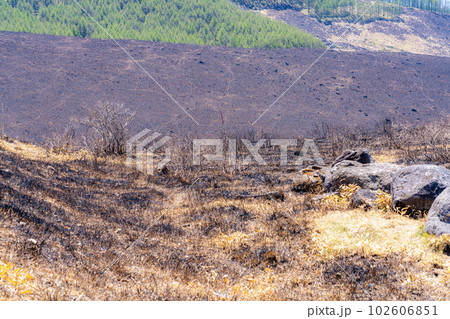 【災害イメージ】霧ケ峰高原の山火事跡【長野県】 102606851