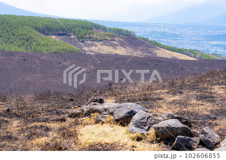 【災害イメージ】霧ケ峰高原の山火事跡【長野県】 102606855