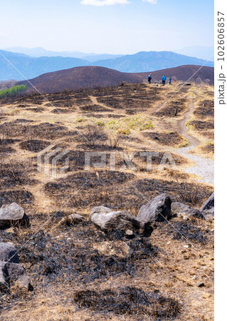 【災害イメージ】霧ケ峰高原の山火事跡【長野県】 102606857