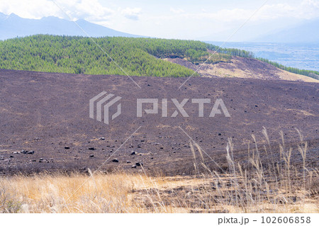 【災害イメージ】霧ケ峰高原の山火事跡【長野県】 102606858