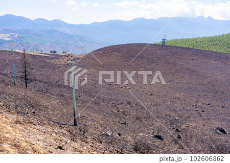 【災害イメージ】霧ケ峰高原の山火事跡【長野県】 102606862