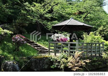 新潟県 五泉市 村松公園 新緑 新潟県 五泉市 村松公園 新緑 102606863
