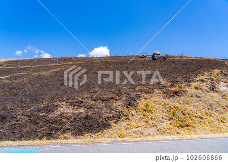 【災害イメージ】霧ケ峰高原の山火事跡【長野県】 102606866