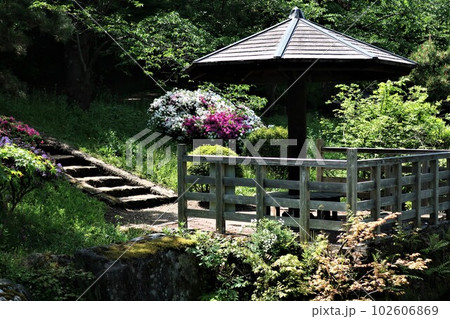 新潟県 五泉市 村松公園 新緑 新潟県 五泉市 村松公園 新緑 102606869