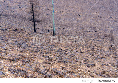 【災害イメージ】霧ケ峰高原の山火事跡【長野県】 102606875