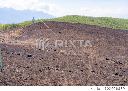 【災害イメージ】霧ケ峰高原の山火事跡【長野県】 102606879