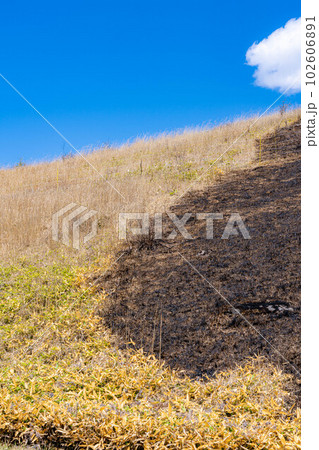 【災害イメージ】霧ケ峰高原の山火事跡【長野県】 102606891