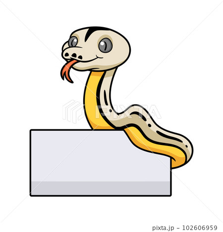 Cute reticulated motley tiger platinum cartoon with blank sign 102606959