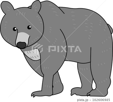 大人のクマの全身イラストのイラスト素材 [102606985] - PIXTA